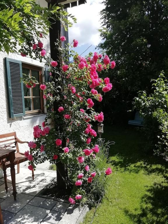 'Sissi' Ein Zaubehaftes Apartement Im Modernen Landhausstil Oberammergau Exterior photo
